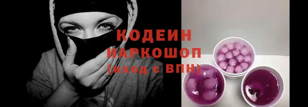 прущий лед Корсаков