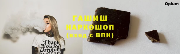 прущий лед Корсаков