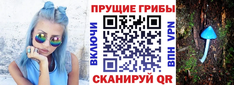 Купить где  Буй  Галлюциногенные грибы мухоморы 